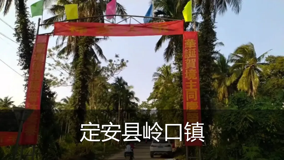 定安县岭口镇