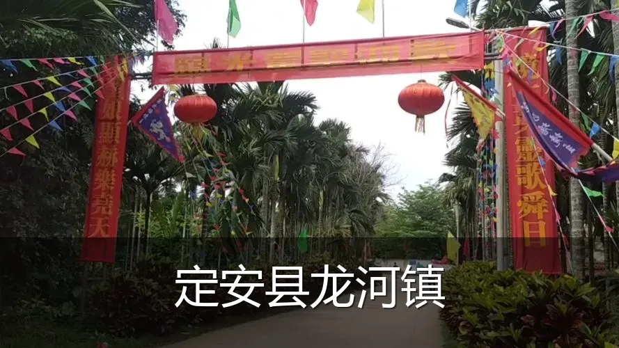 定安县龙河镇